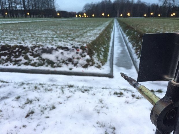 Братские могилы Пискаревского кладбища               Фото: Комитет премии Даниила Хармса