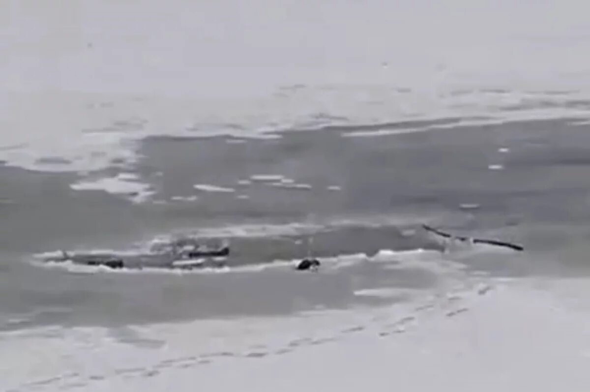    МЧС подтвердили информацию о произошедшей трагедии