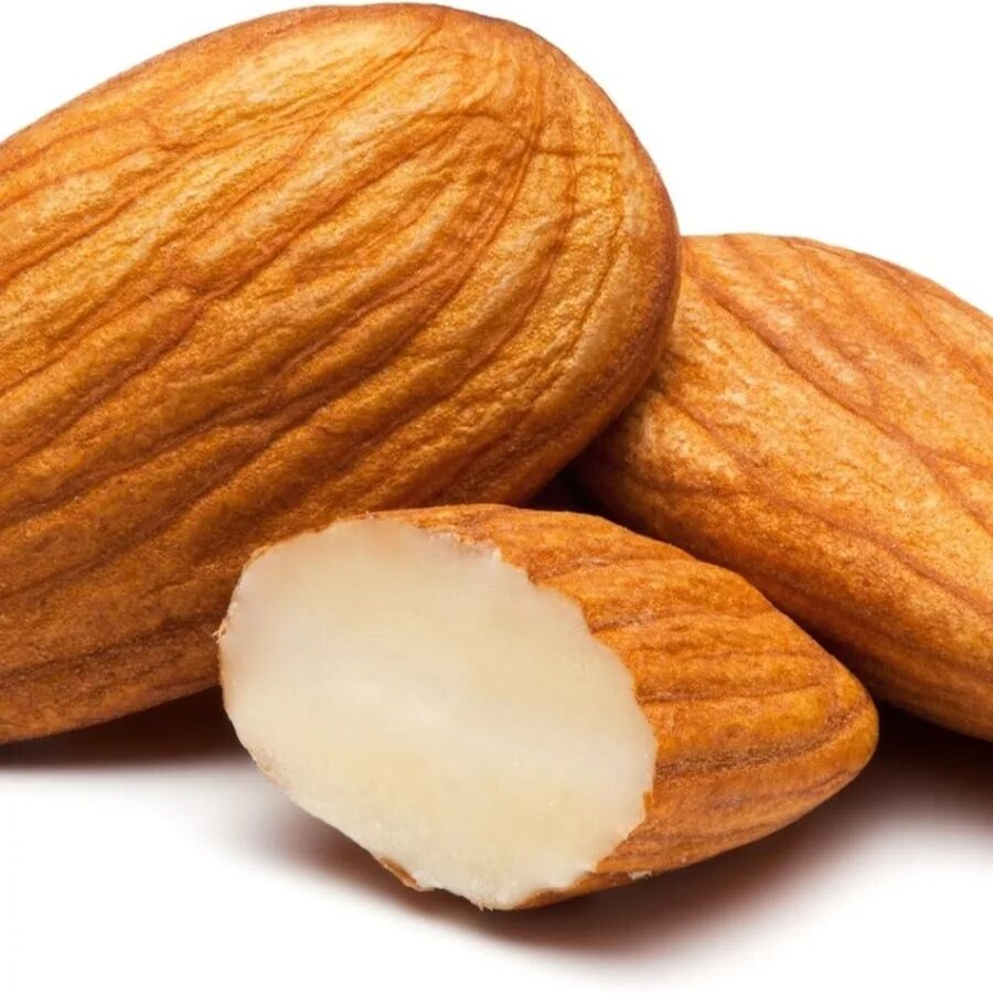 Миндаль в разрезе