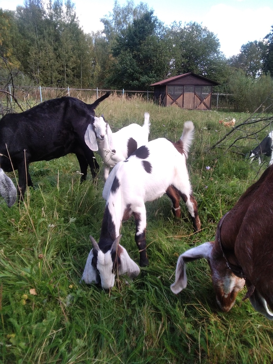 Фото автора.