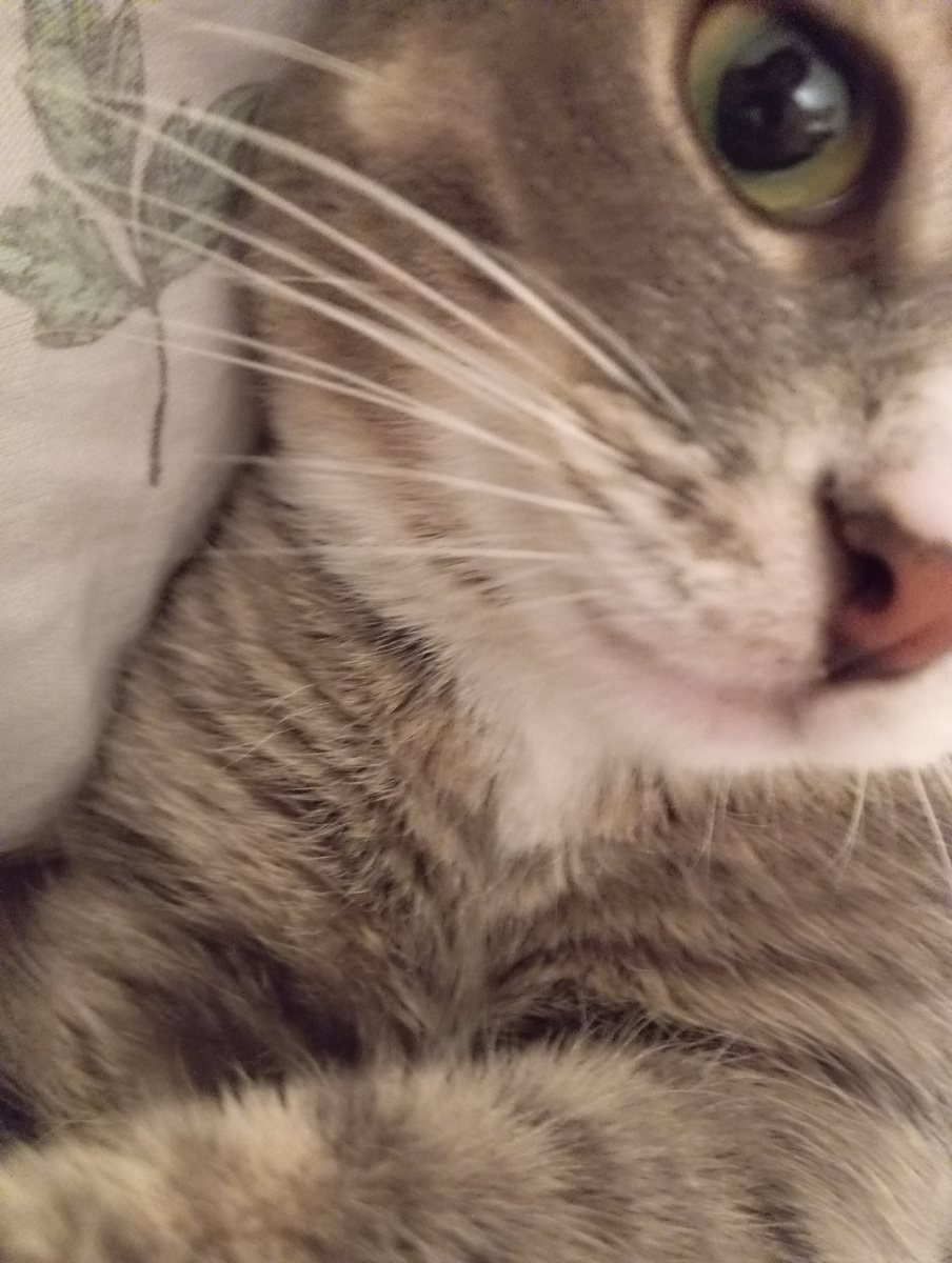 Личное фото автора канала