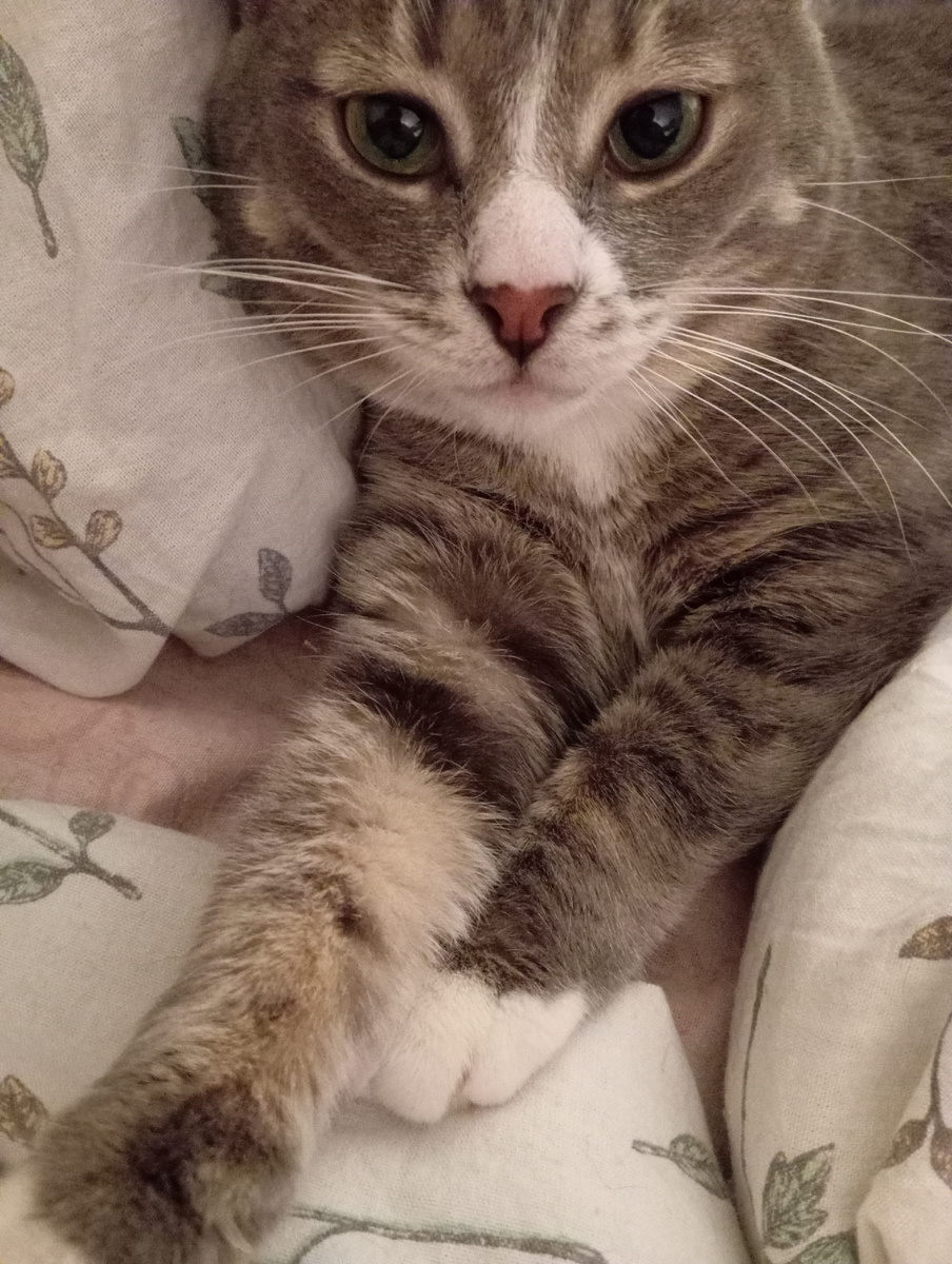 Личное фото автора канала