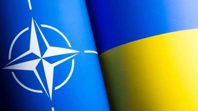    Фото: Vitalii Stock/Shutterstock/Fotodom