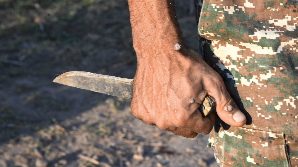 Фото: Анатолий Жданов / Коммерсантъ