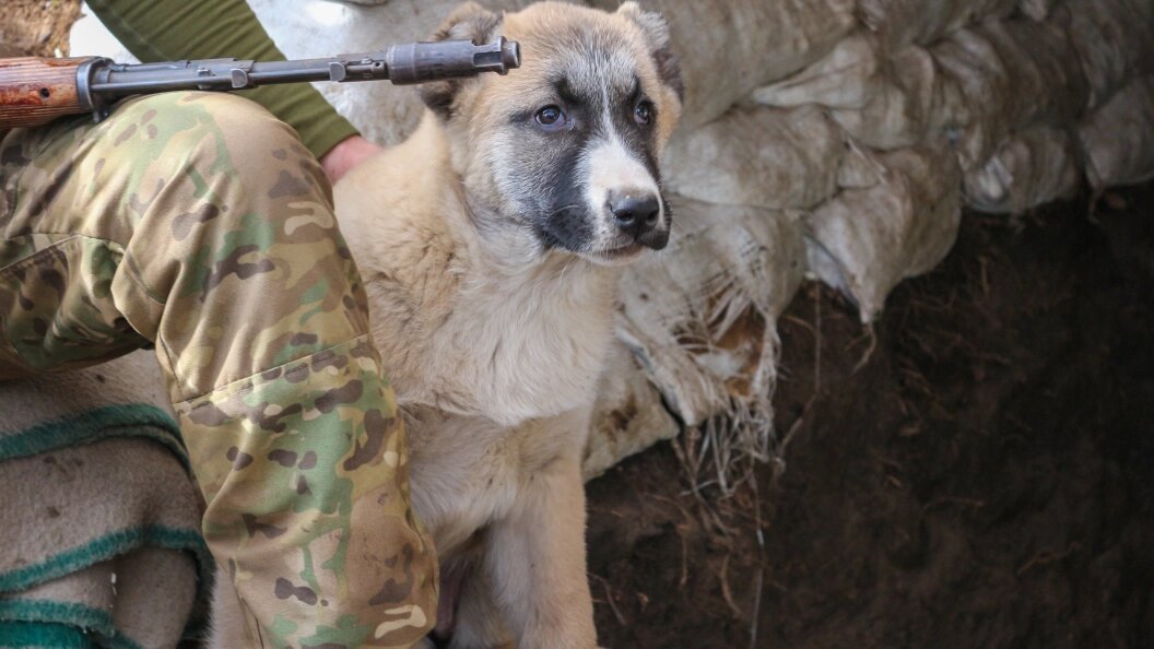    Konopatov Yuri/news.ru/Globallookpress