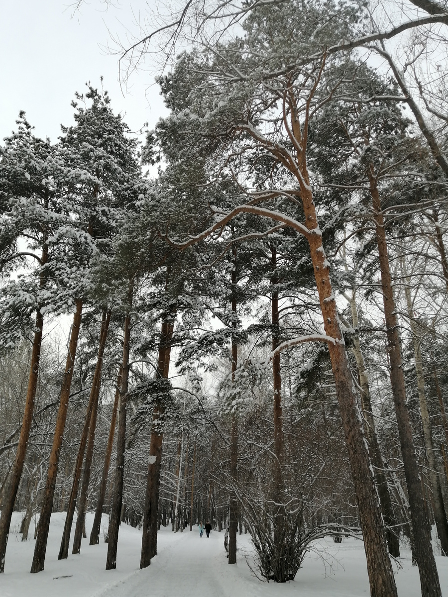 В середине марта выпал снег. 