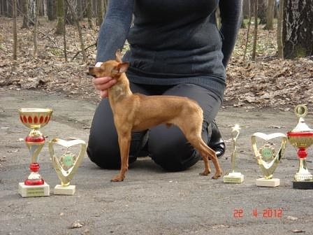 Утренний Лучик Солнца (Лучик)