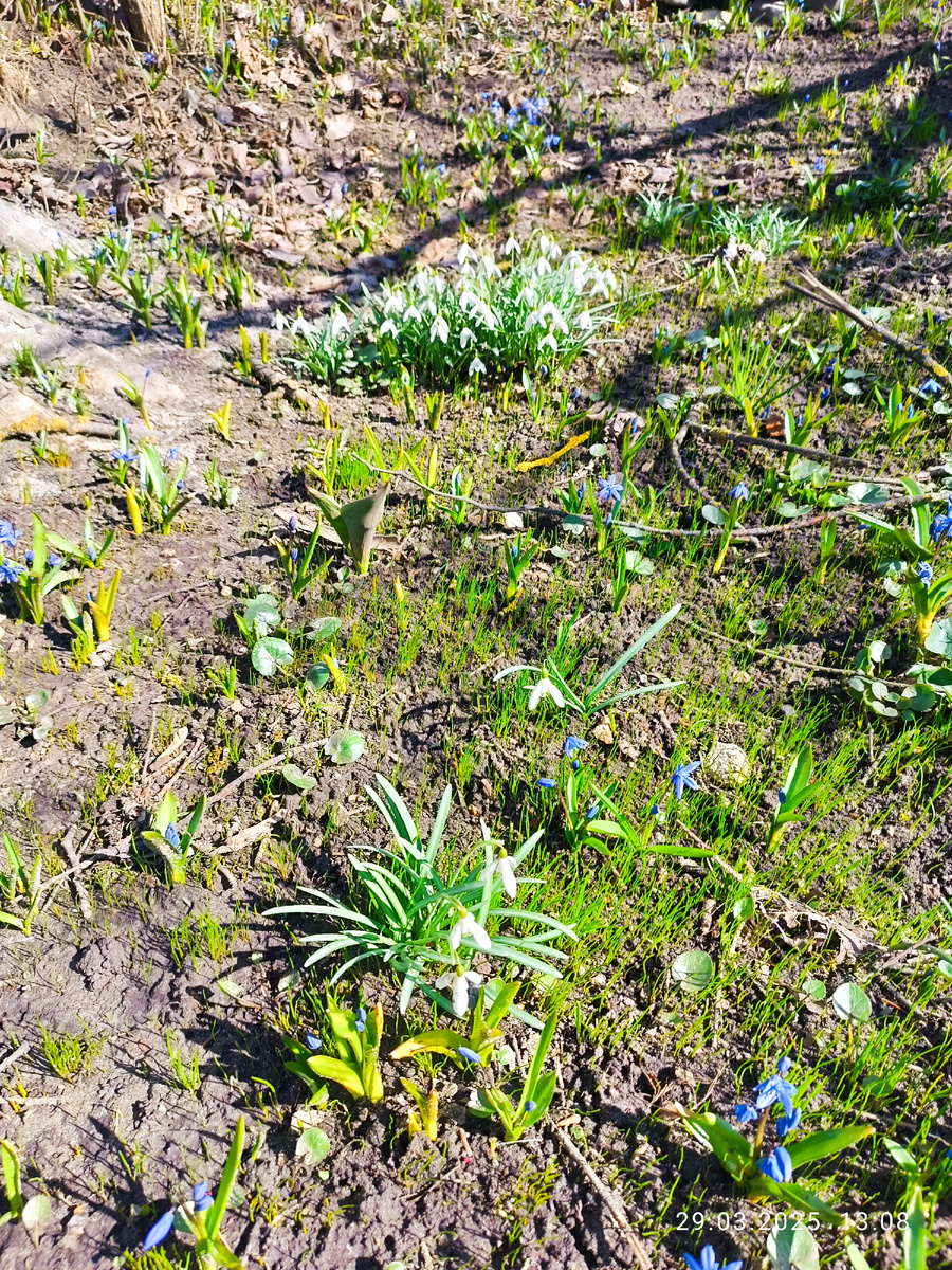 У дома Циалковского уже весна.