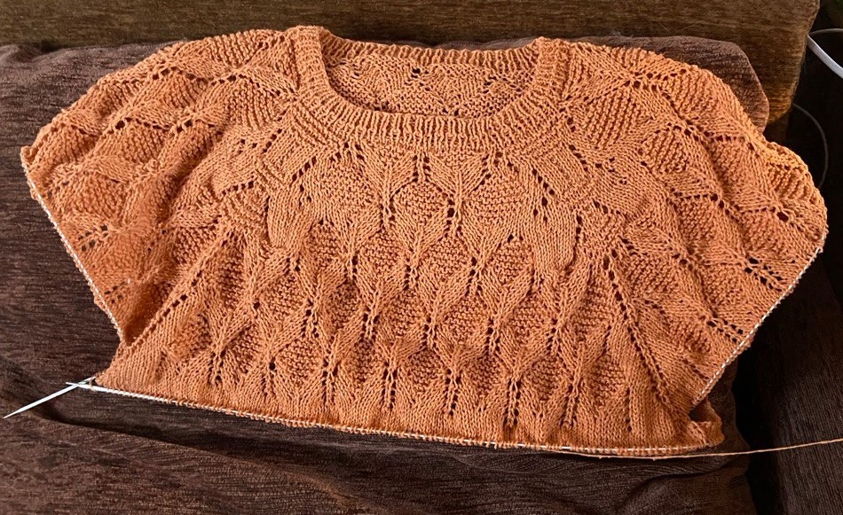 Вид спереди