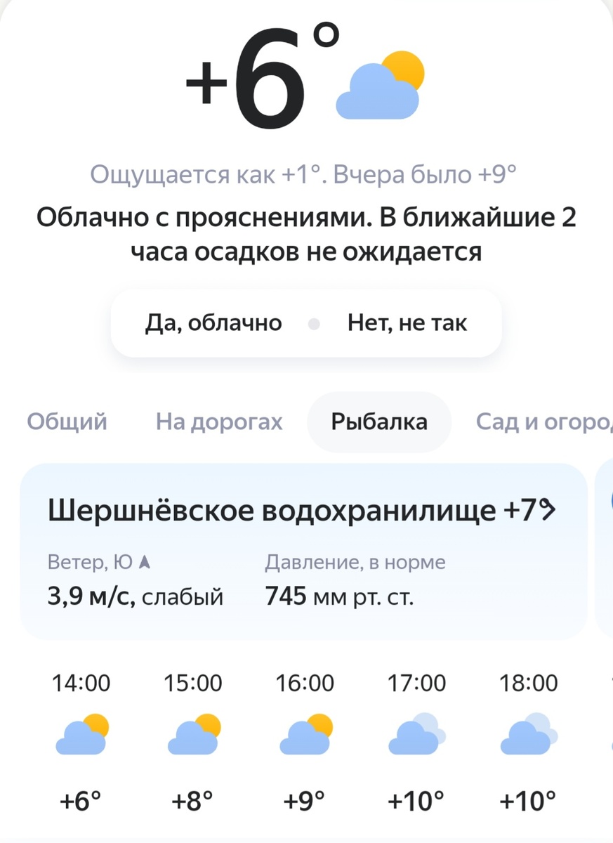 Весна. Фото автора