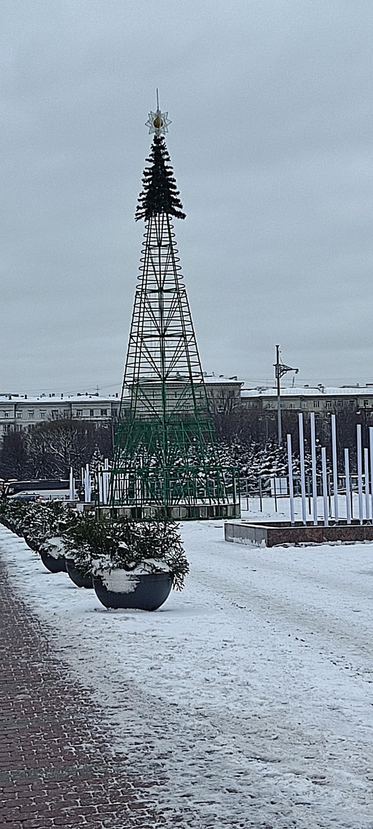 Декабрь 2023. Ёлку только начали собирать. 