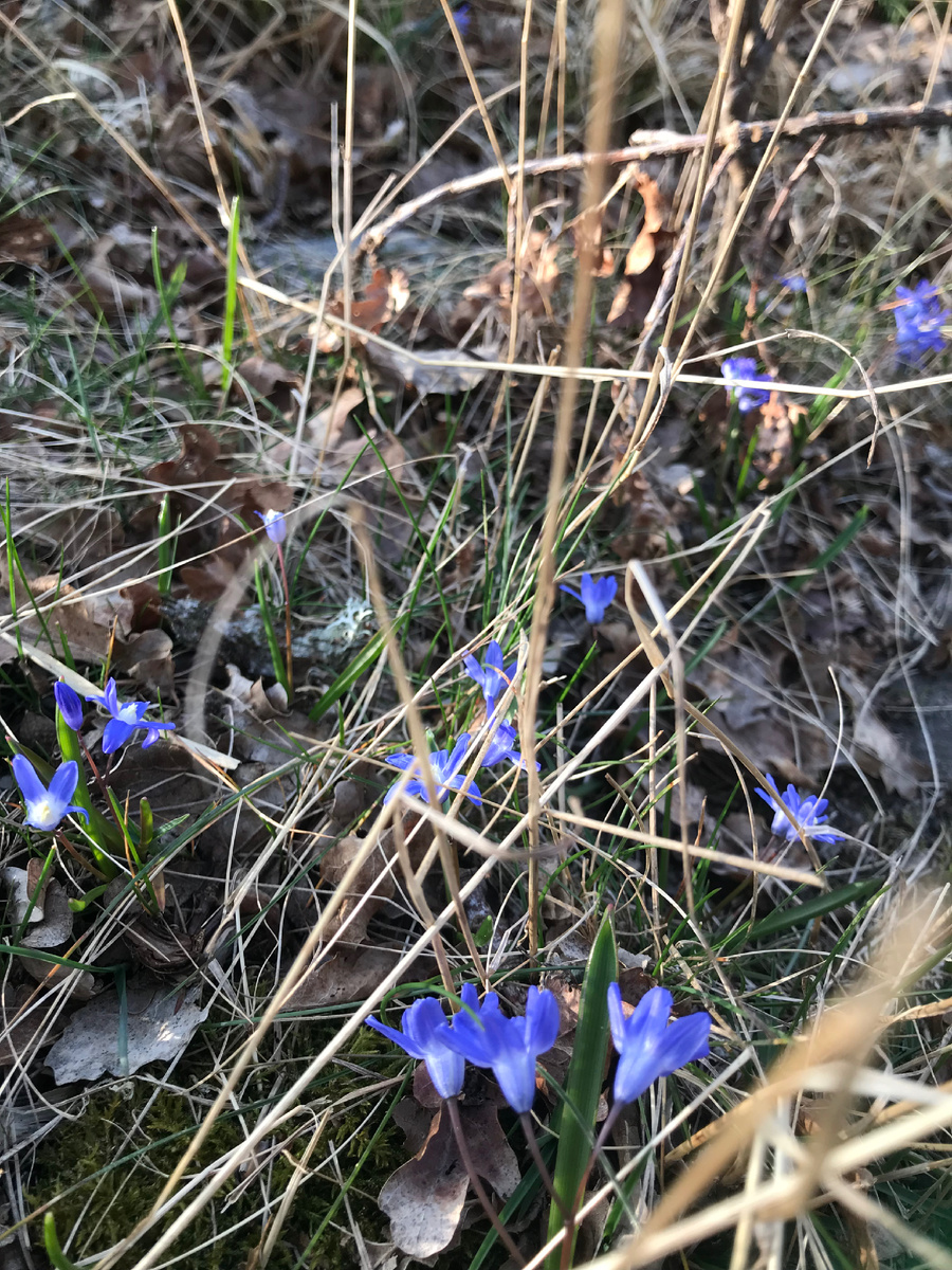 Фото из личного архива 