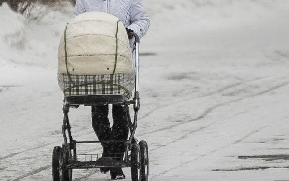    Мать. Коляска. Источник: pexels.com