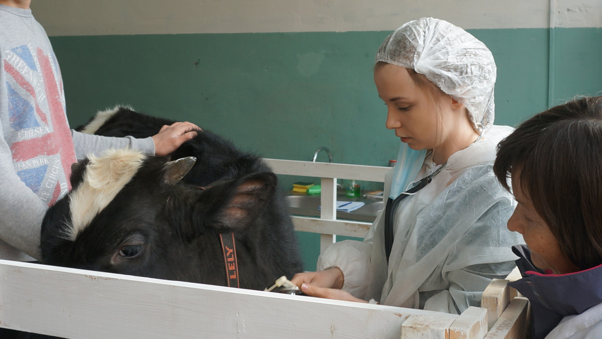    Куда пойти учиться на зоотехника в Санкт-Петербурге