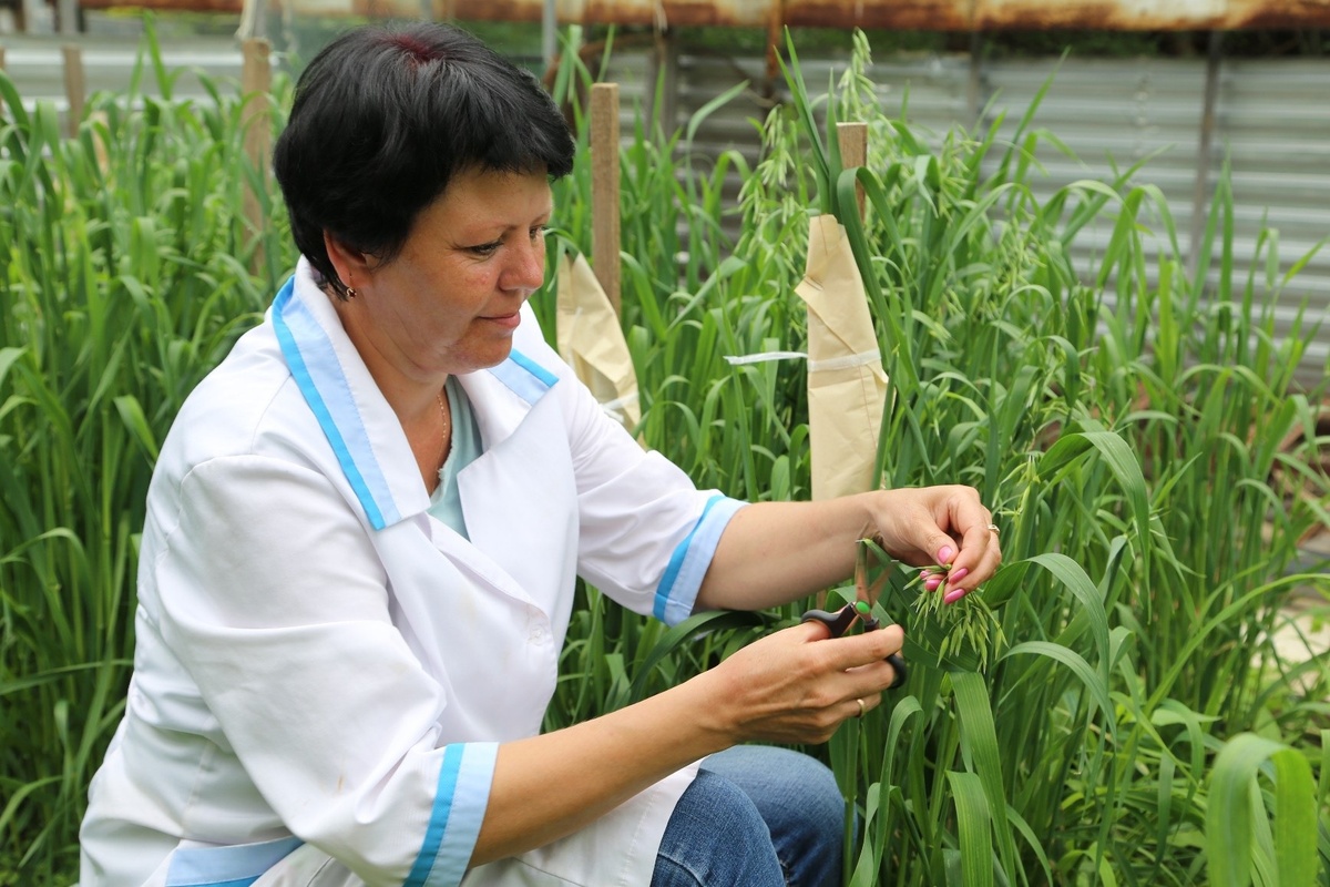    Куда пойти учиться на зоотехника в Санкт-Петербурге