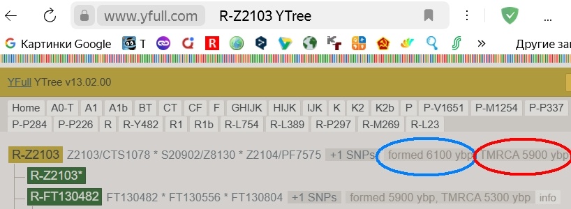 formed 6100 ybp, TMRCA 5900 ybp