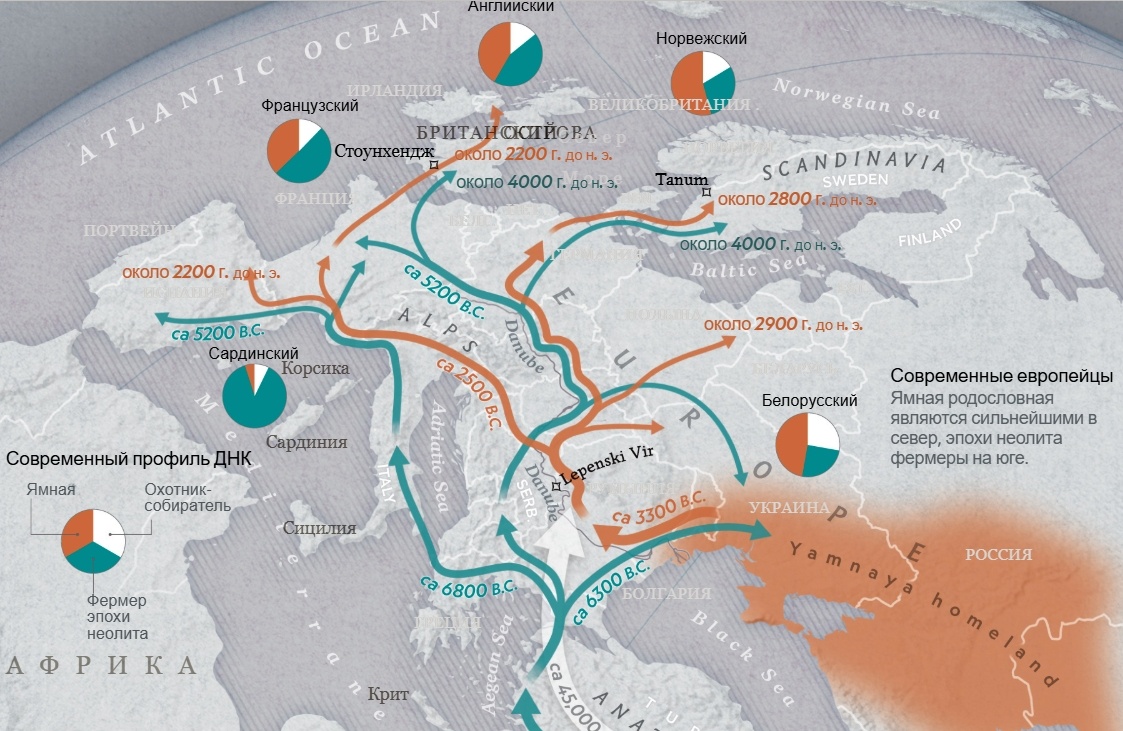 Миграции, которое придумали популяционные генетики