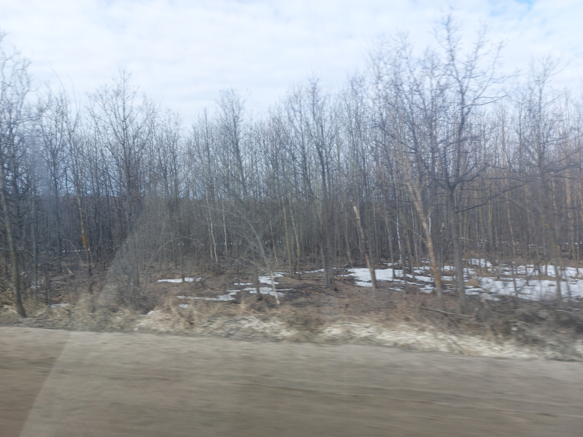 Саратовская область