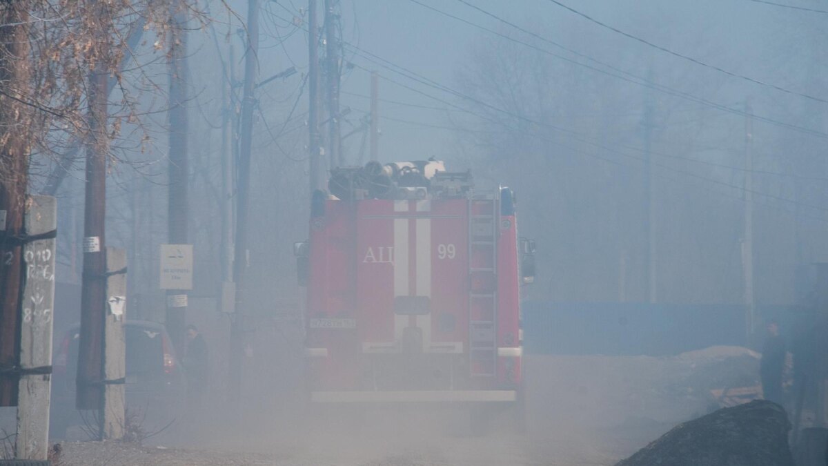    Фото: Svetlana Vozmilova/globallookpress.com