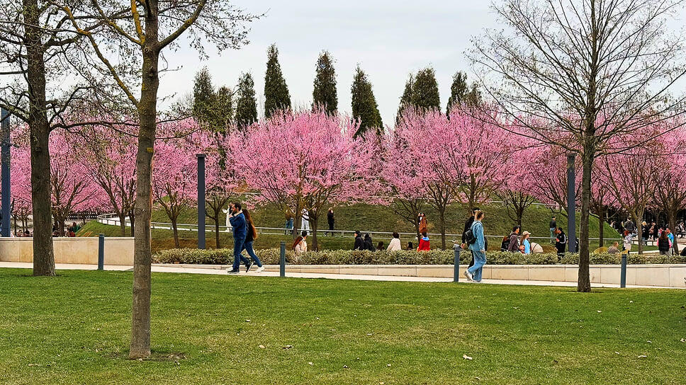 Сегодня это самая популярная локация в парке «Краснодар».📷Фото: Анастасия Писарева
