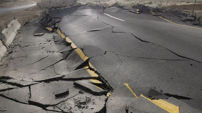    Фото: SDubi/Shutterstock/Fotodom