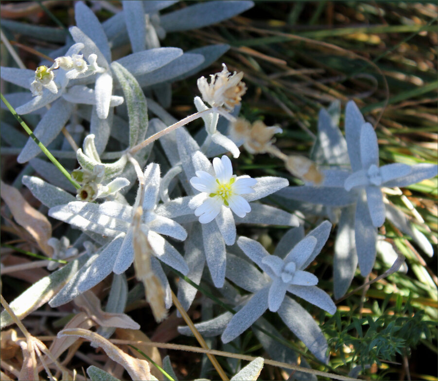 Фото взято из открытых источников