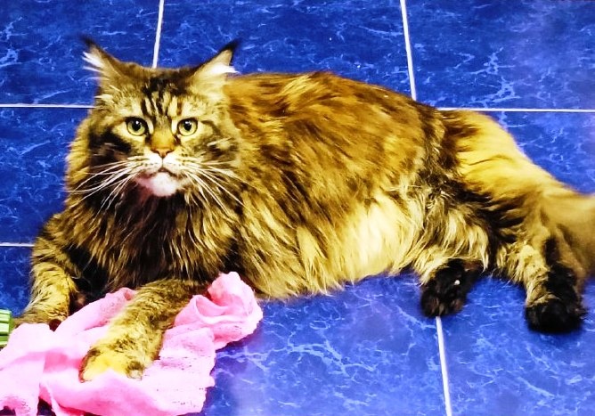    Фото из архива редакции