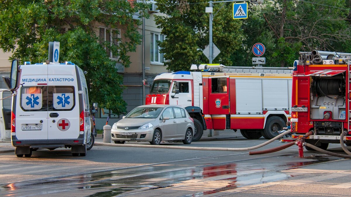    Фото: Svetlana Vozmilova/globallookpress.com