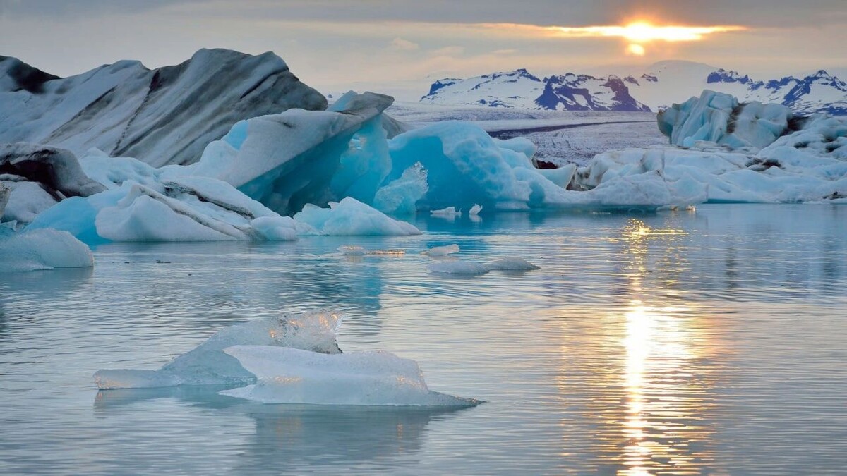    Фото: t.me/clean_arctic