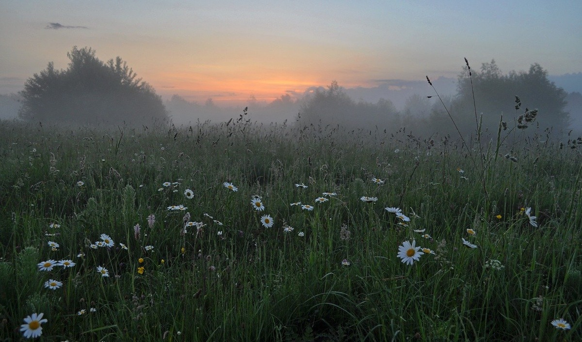 Фото взято с интернета