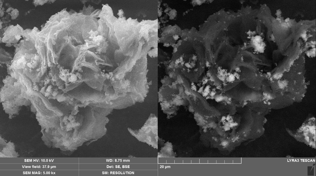 Гранула мезопористого катализатора под микроскопом Фото: сайт ООО «Газпром трансгаз Екатеринбург» 