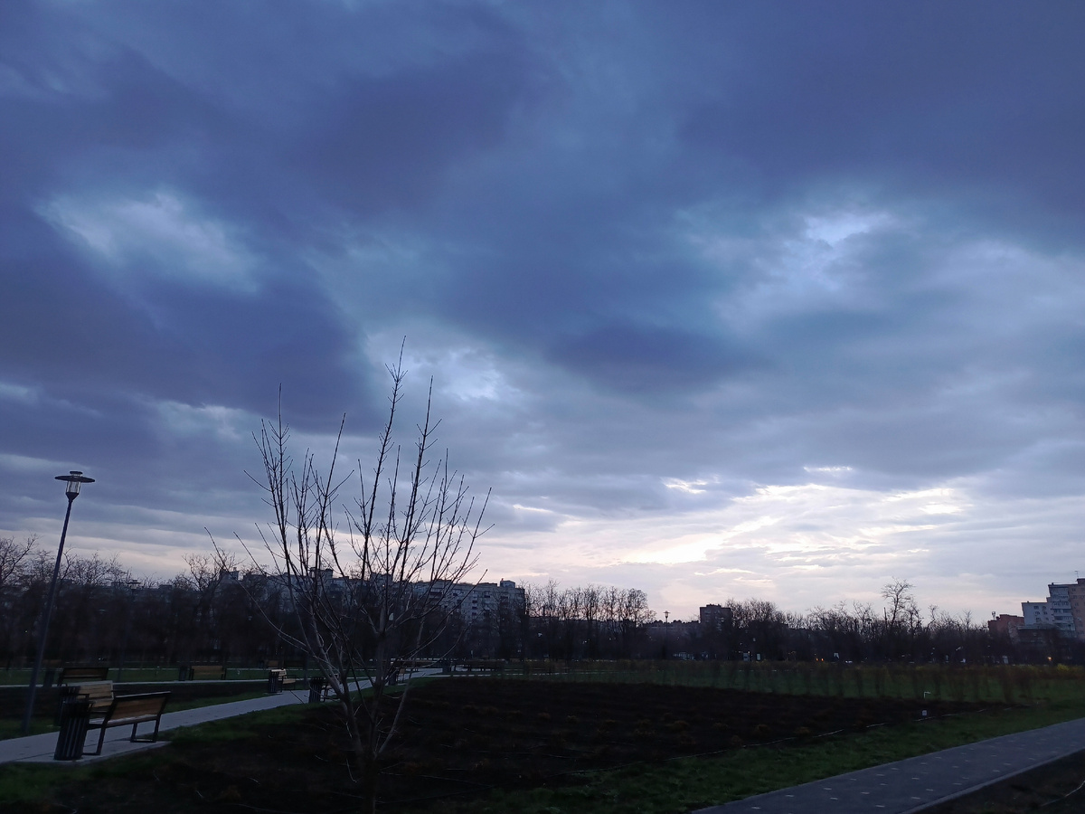 Красивый рассвет в парке