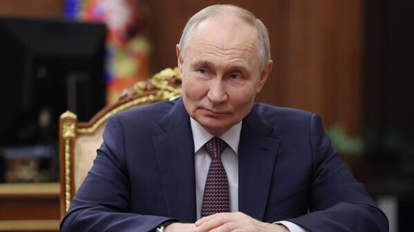    © Sputnik / POOL / Михаил Метцель