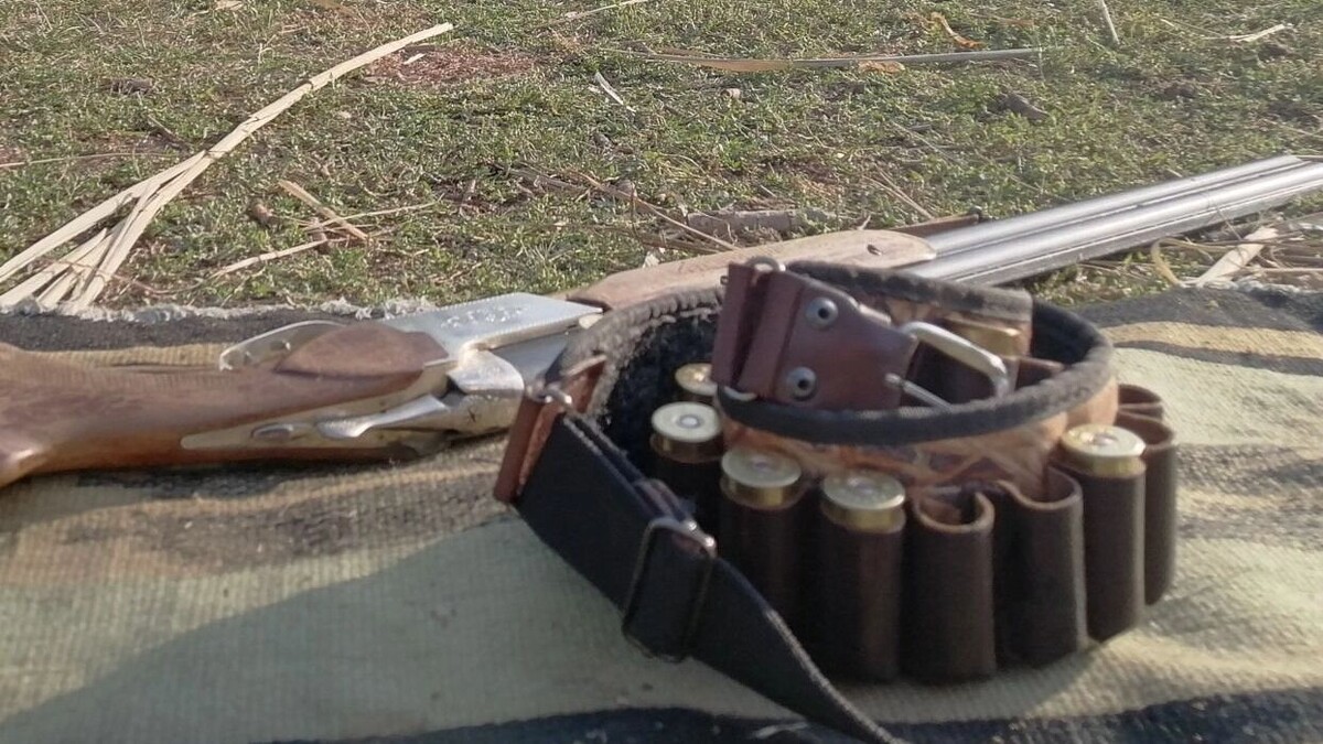     Источник: 1MI