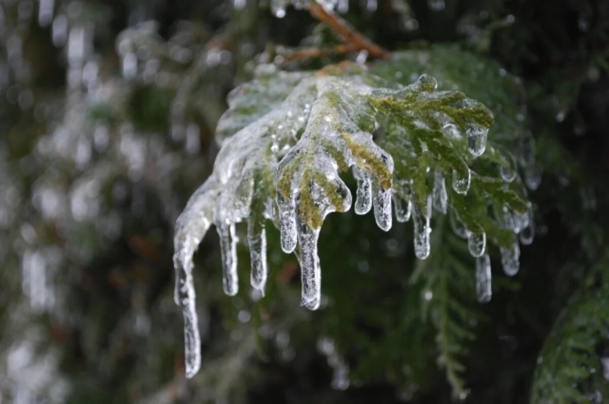    После потепления до +15 градусов Свердловскую область накроет ледяной дождь