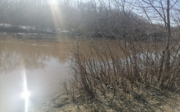 Фотография из личного архива автора