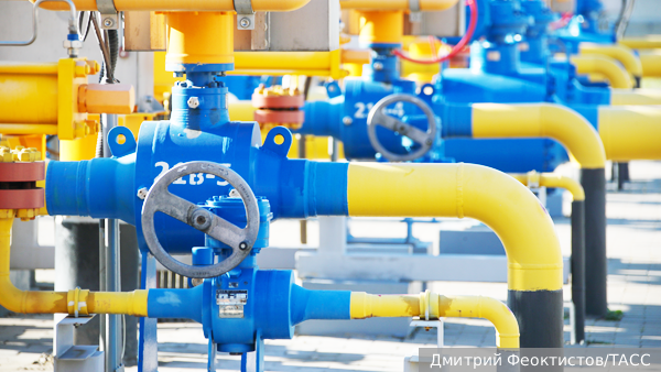     Фото: Дмитрий Феоктистов/ТАСС   
 Текст: Денис Тельманов