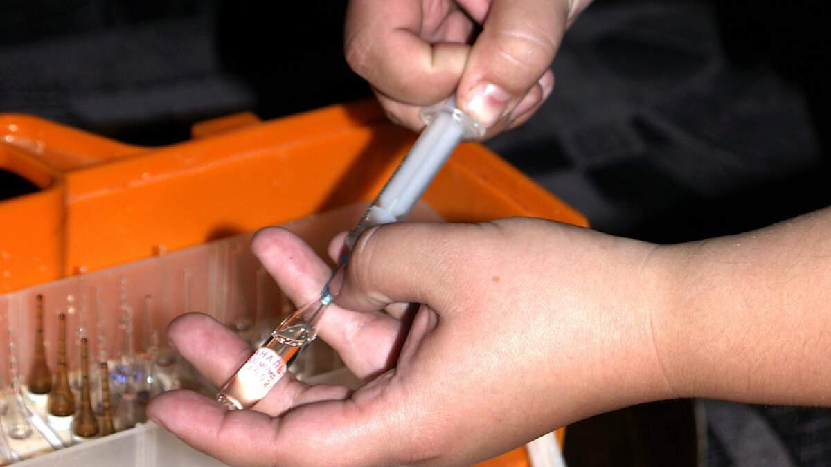    Фото: Alexander Legky, Alexander Legky/globallookpress.com