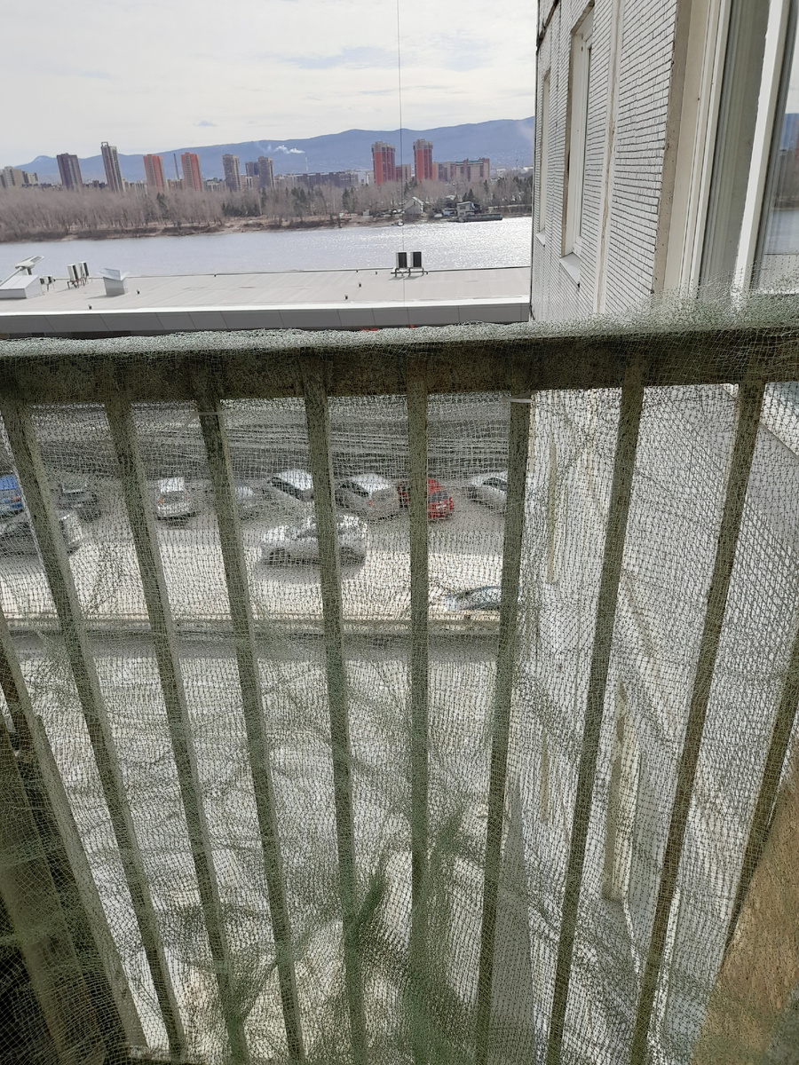 Фото автора. Горожу огород.