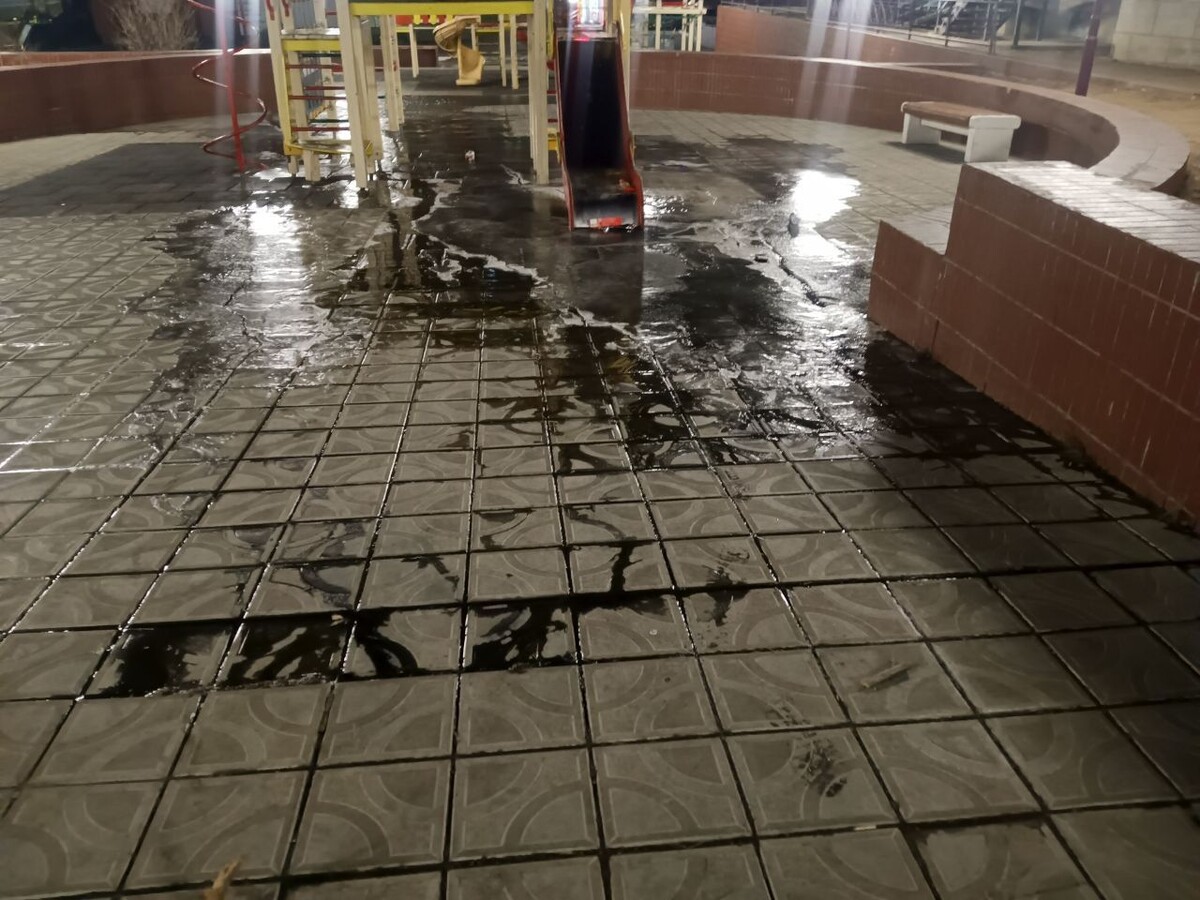    Фото: Очевидец