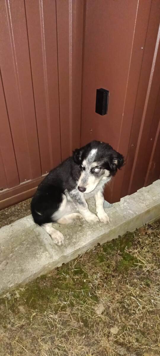 Мир оказался без хозяина страшным.