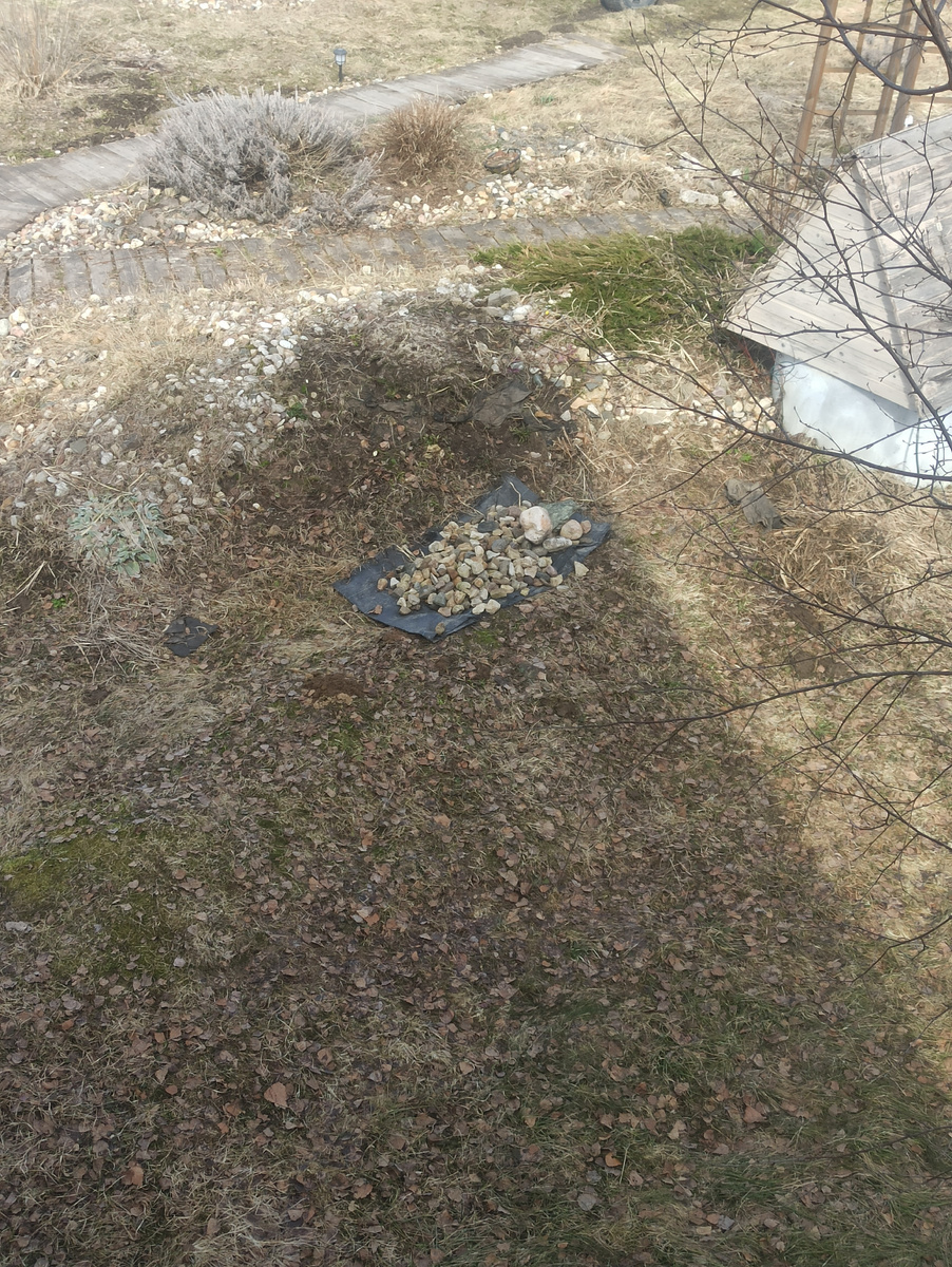 Горка возле колодца - самое больное место. На нее залез пырей. Рвать его бесполезно.