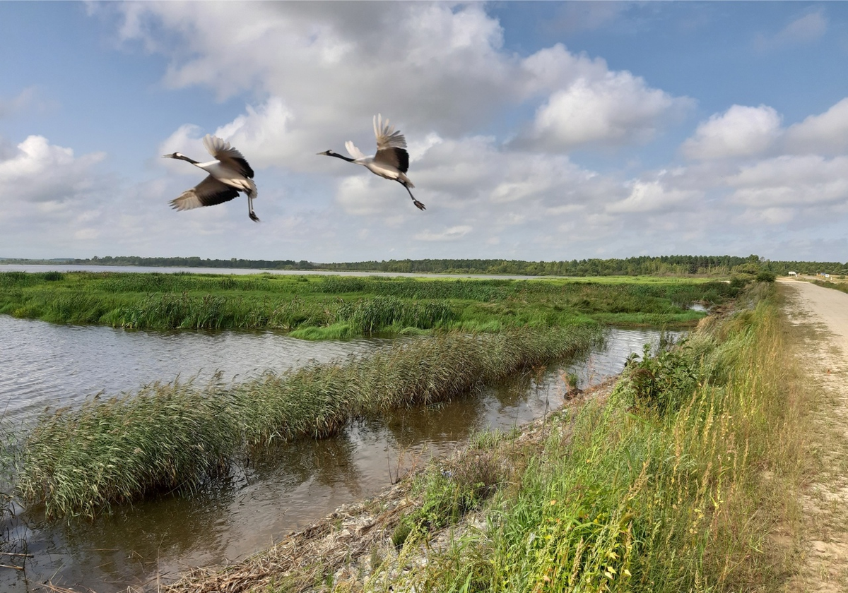 Благовещенский заказник