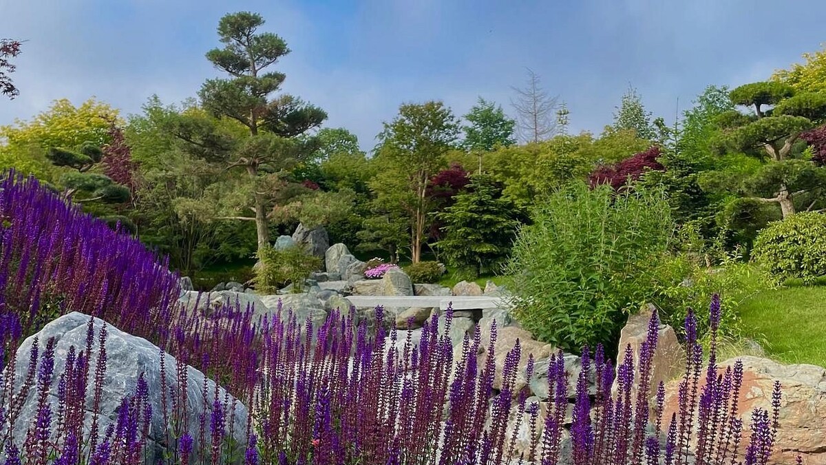    Фото: телеканал «Краснодар»