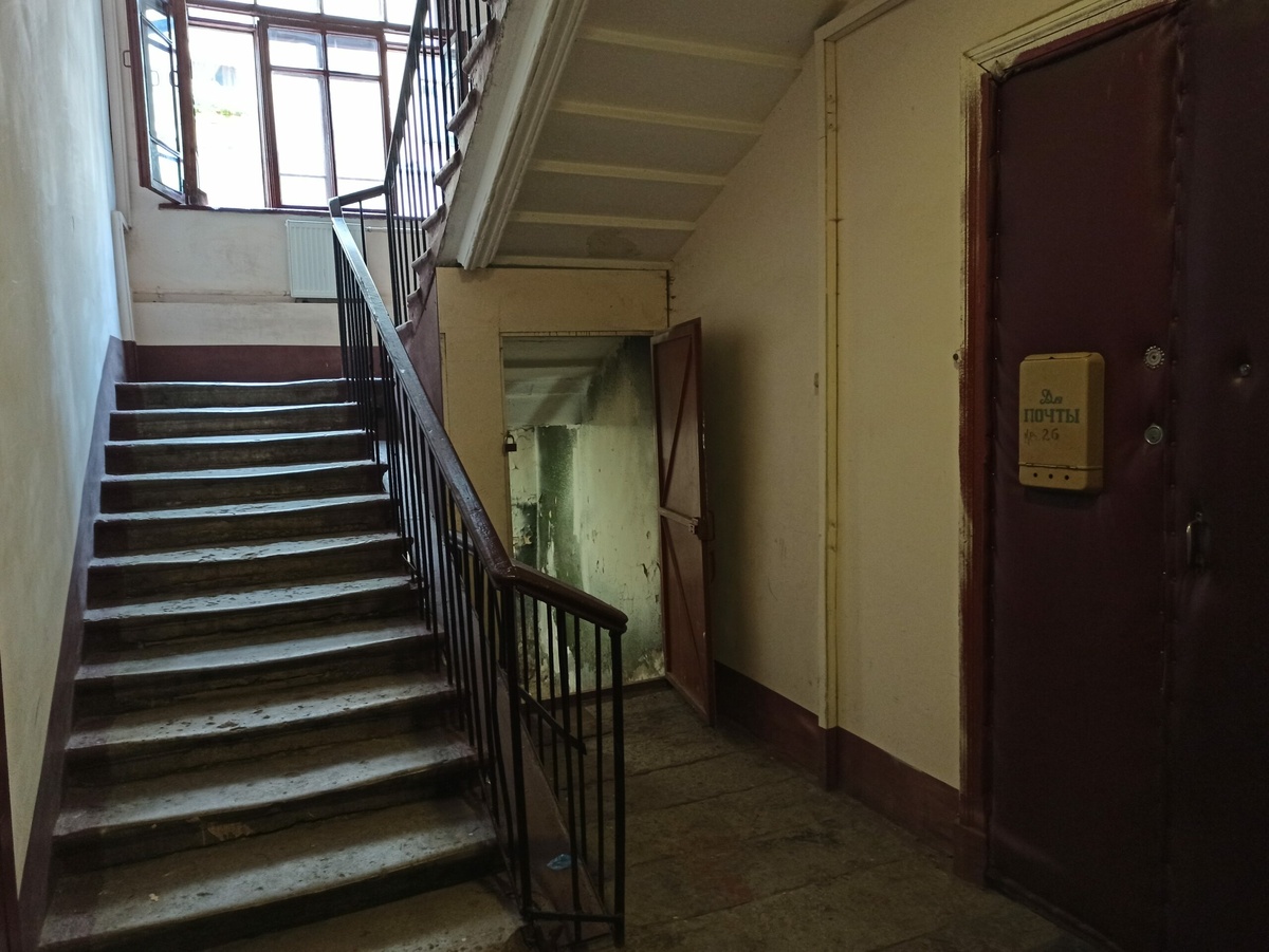 Фото: Neva.Today