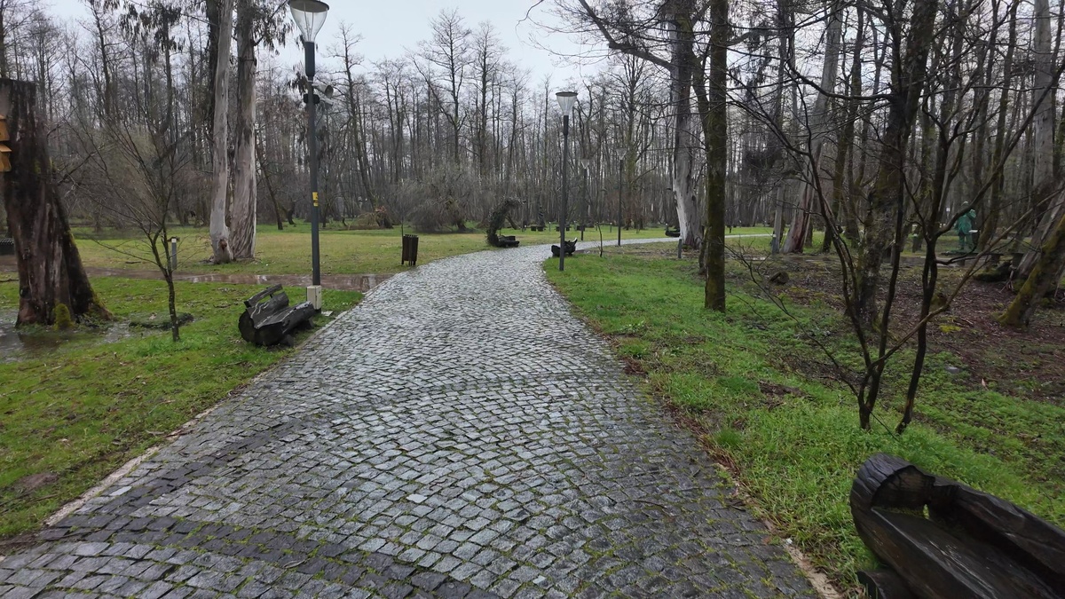 Тропинка парка