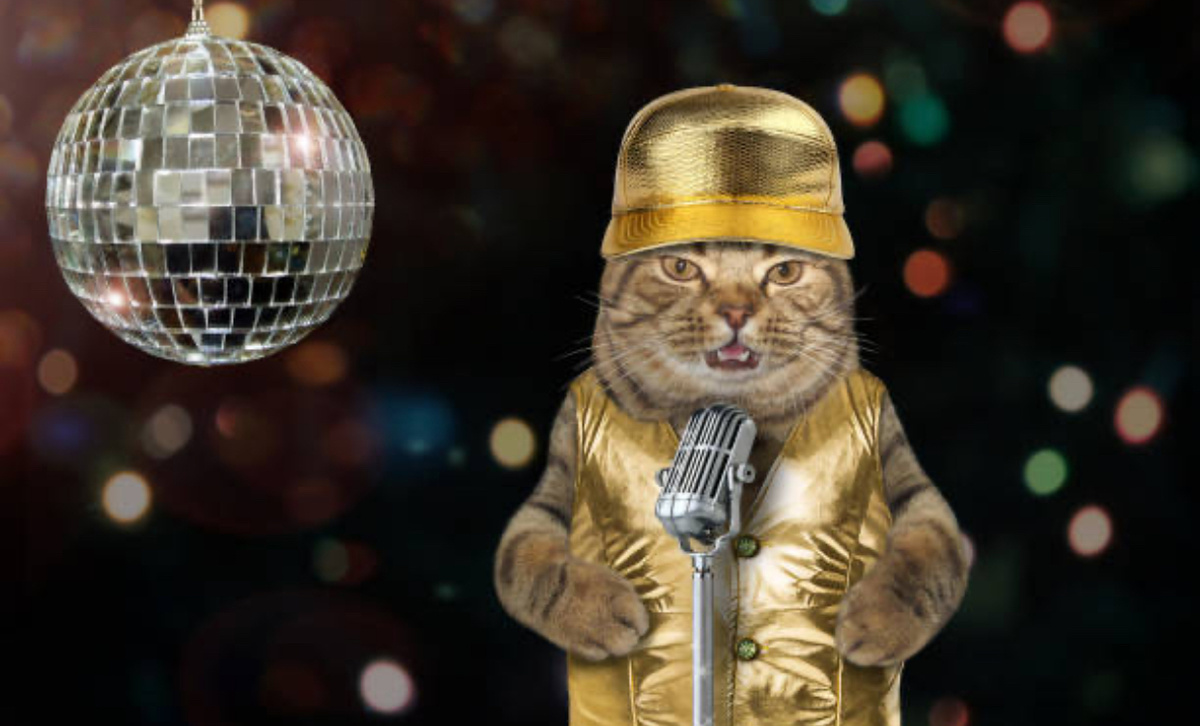 Фото из открытого источника 