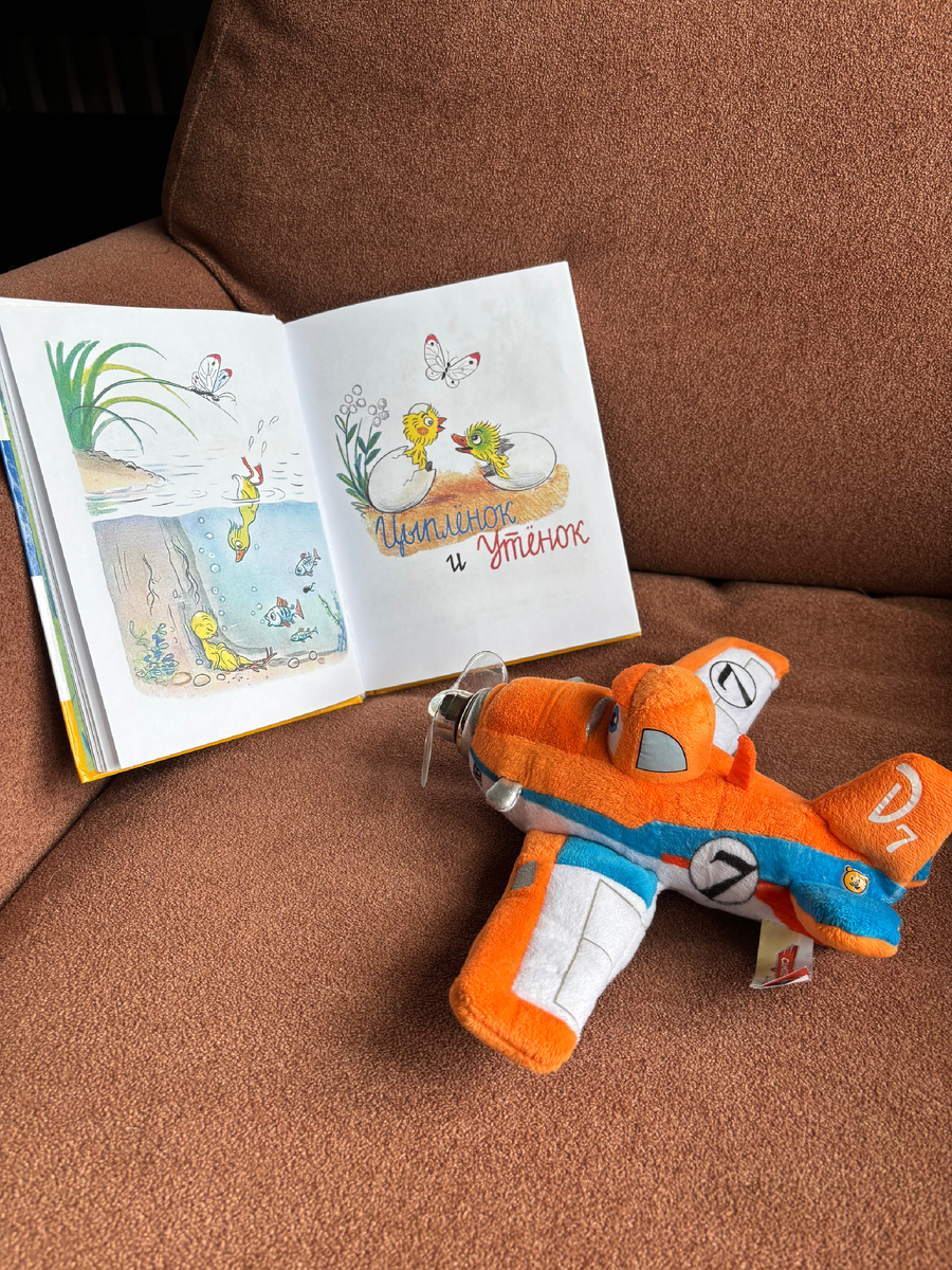 Рассказ про дружбу Цыпленка и Утенка, как они друг за другом все повторяли