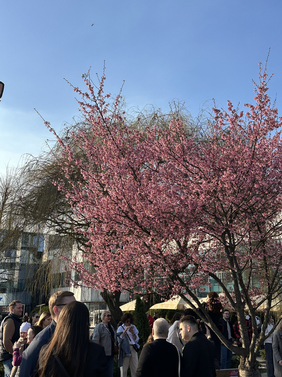 Фото от 29 марта 2025 г.