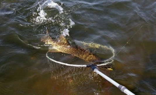 Рыбалка на щуку в апреле. Источник фото proctoinfo.ru